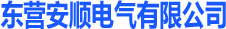 东营安顺电气有限公司